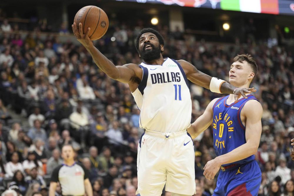 巴西的国家 巴西的国家